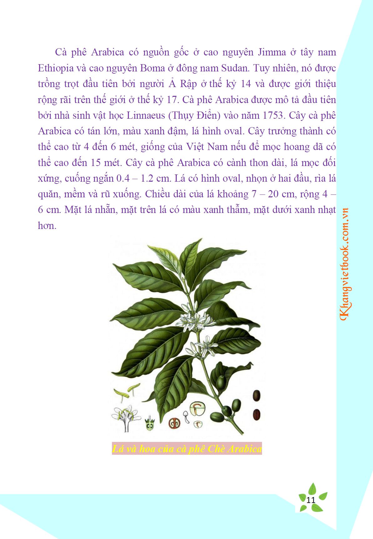Trích đoạn 10