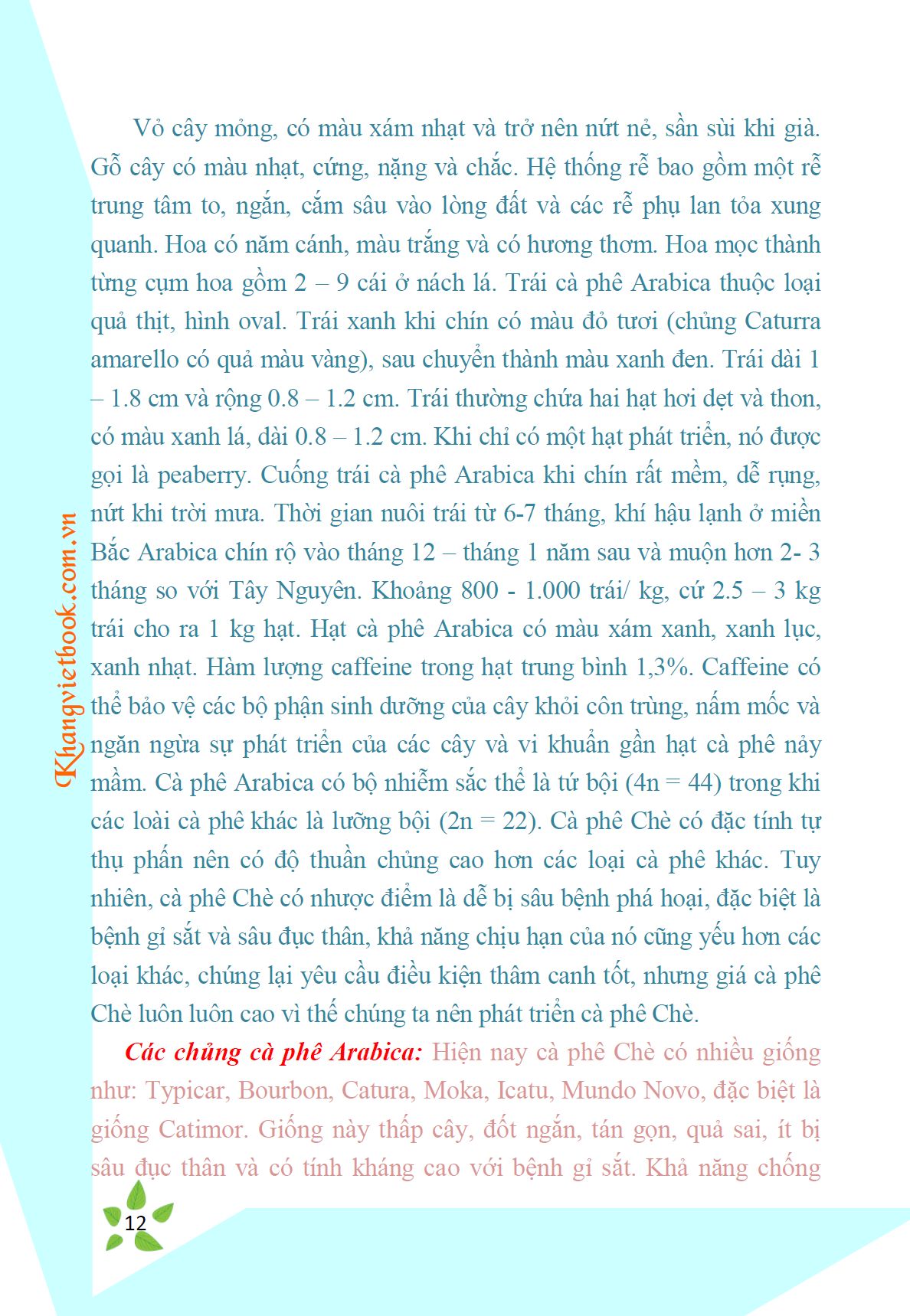 Trích đoạn 11