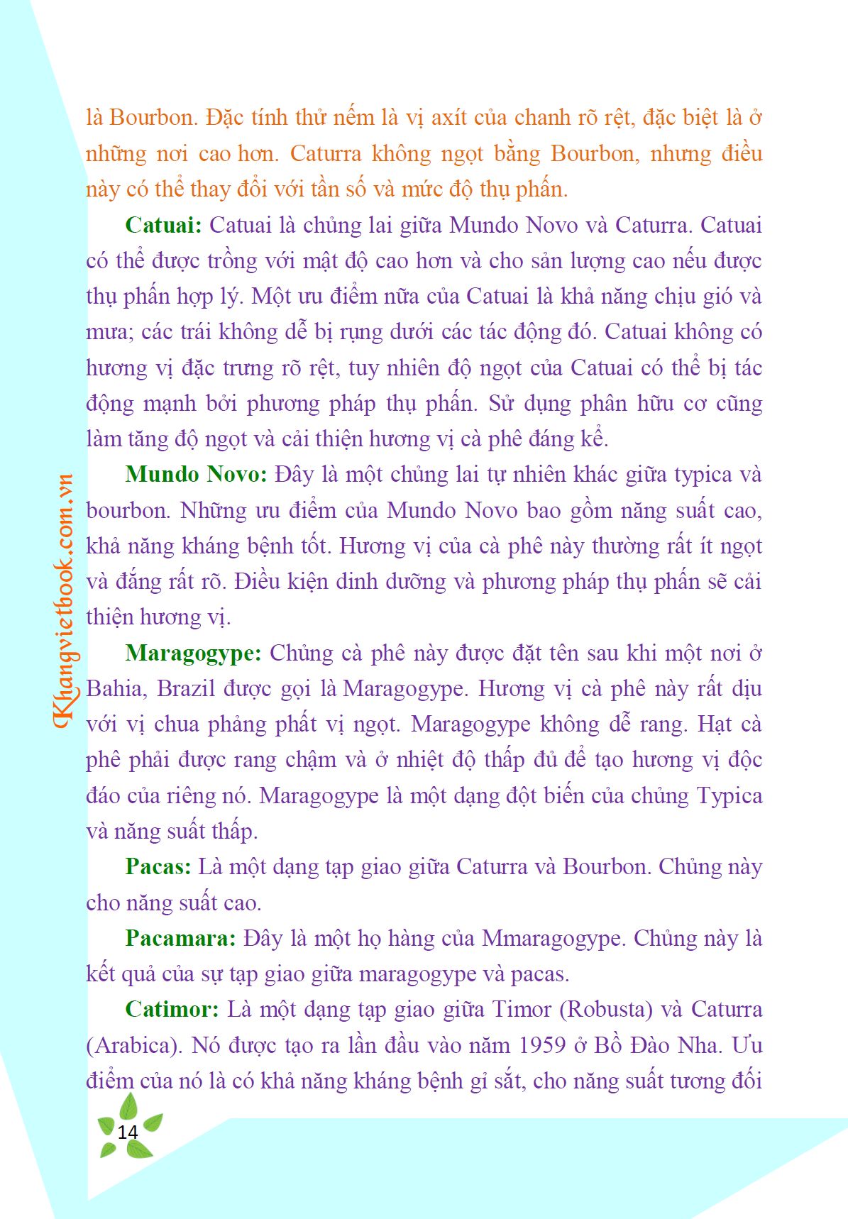 Trích đoạn 13