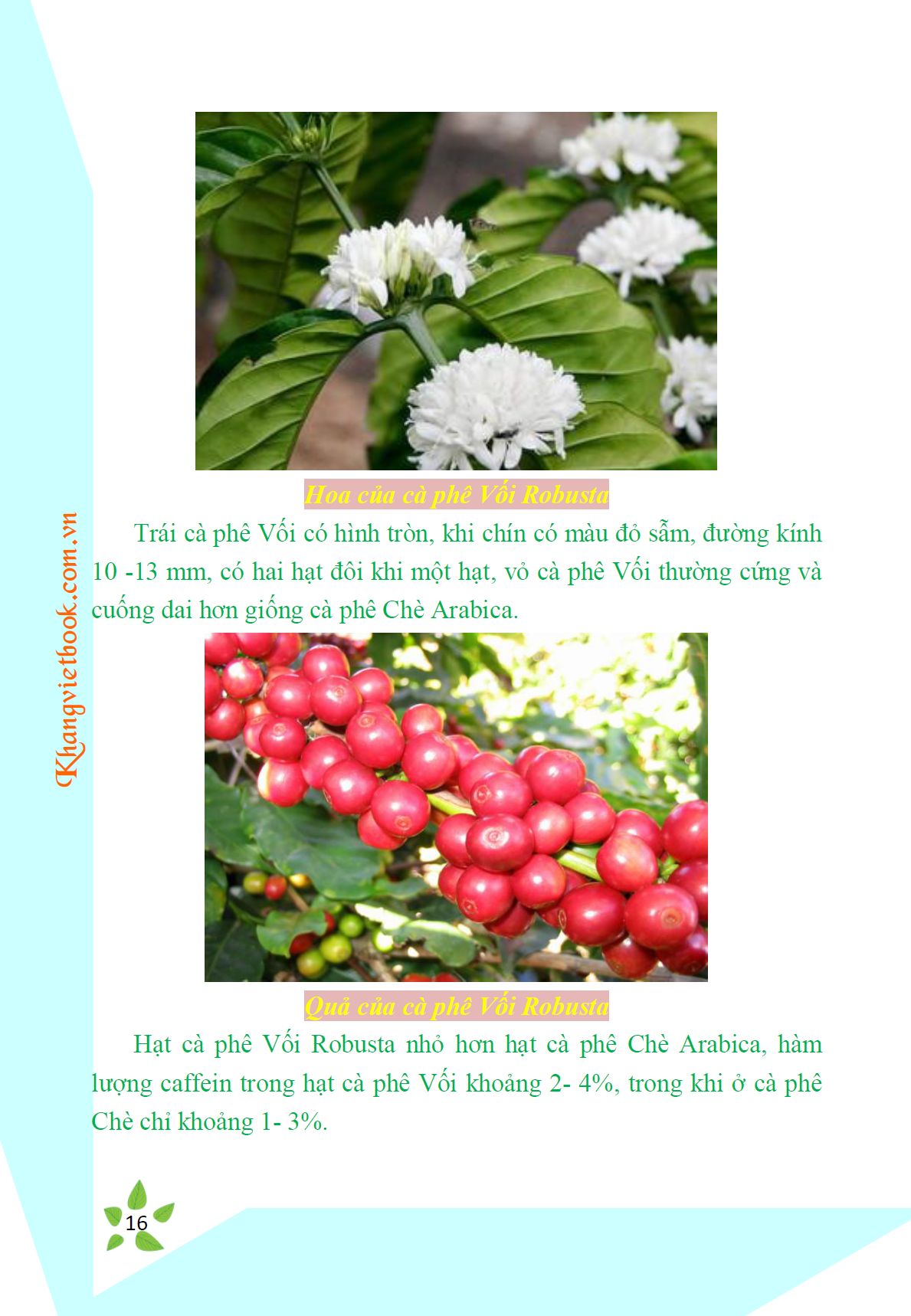 Trích đoạn 15