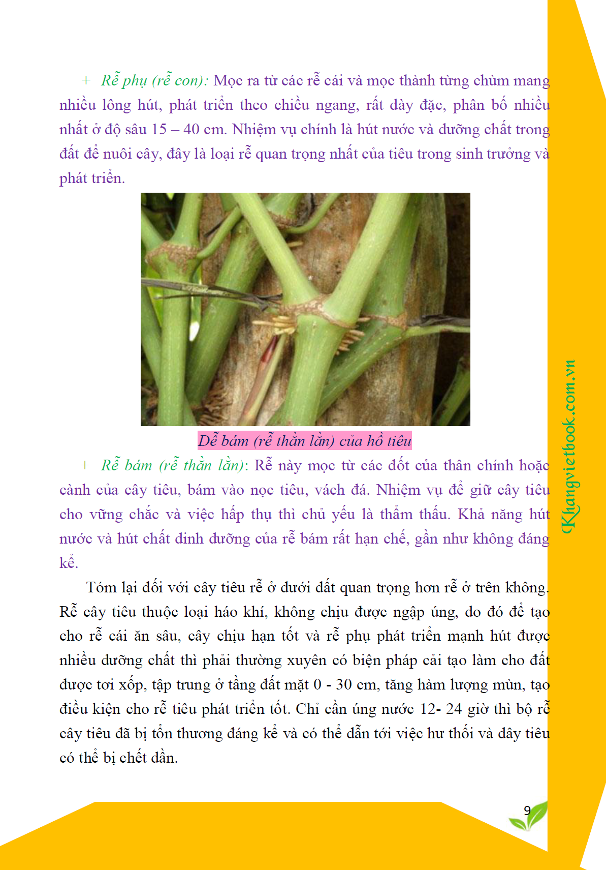 Trích đoạn 8