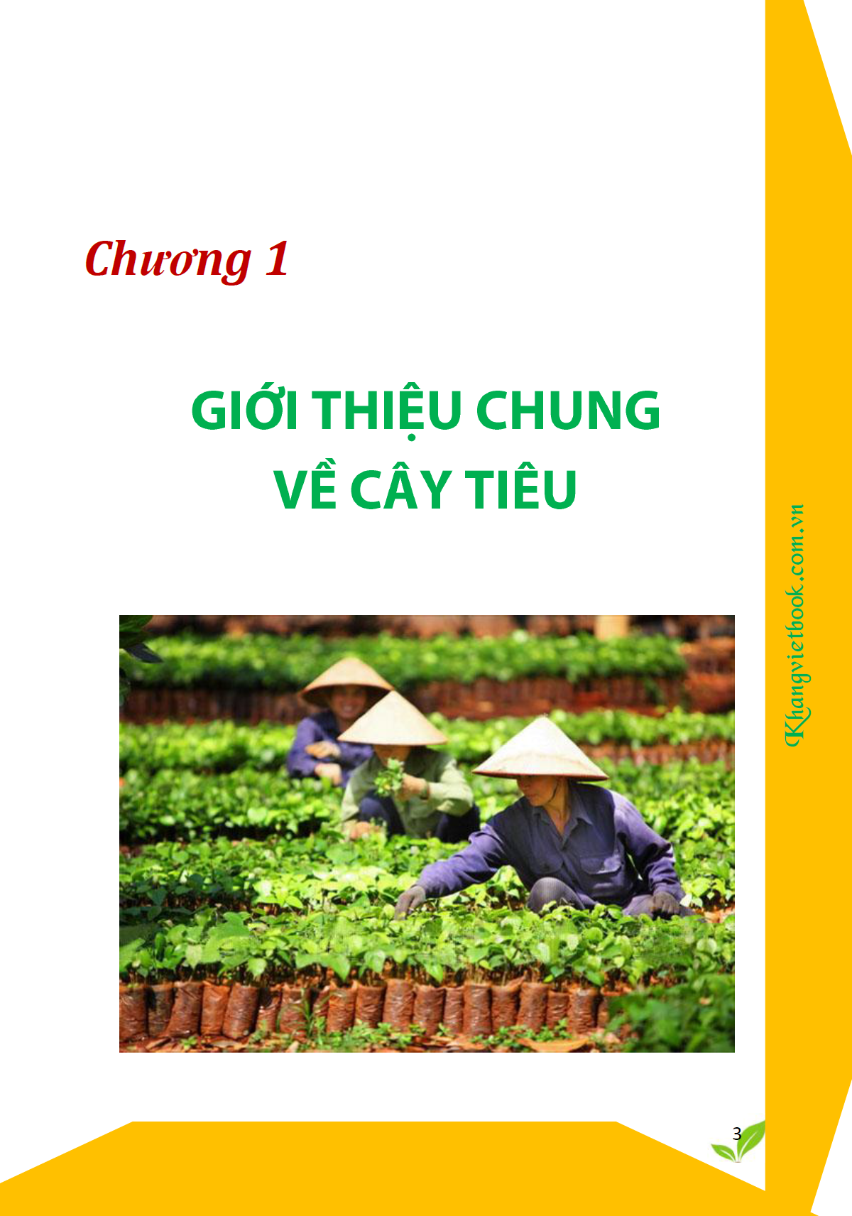 Trích đoạn 2