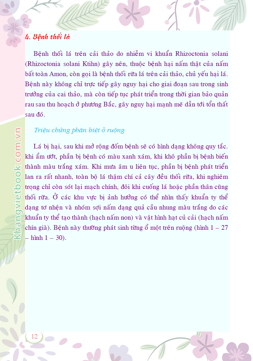 Trích đoạn 12