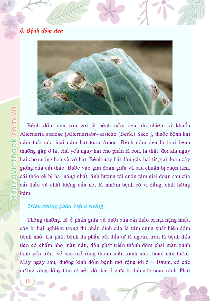 Trích đoạn 18