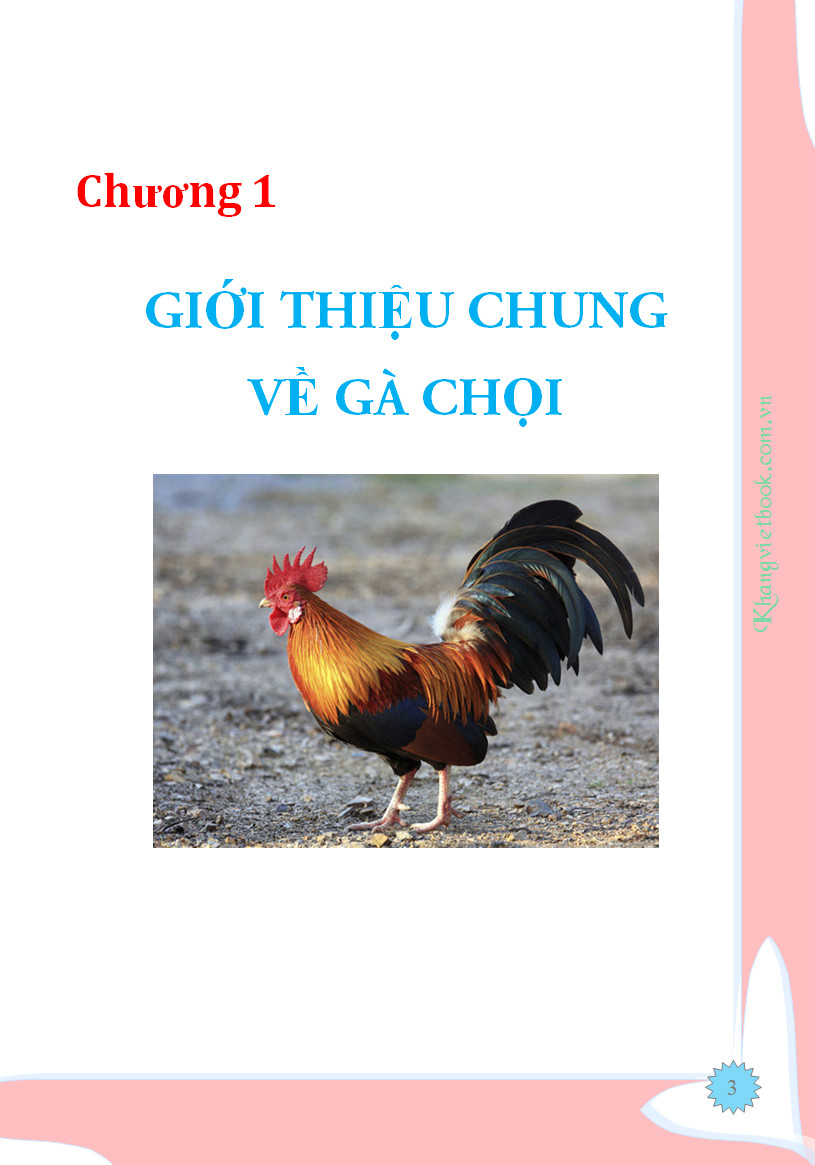 Trích đoạn 3