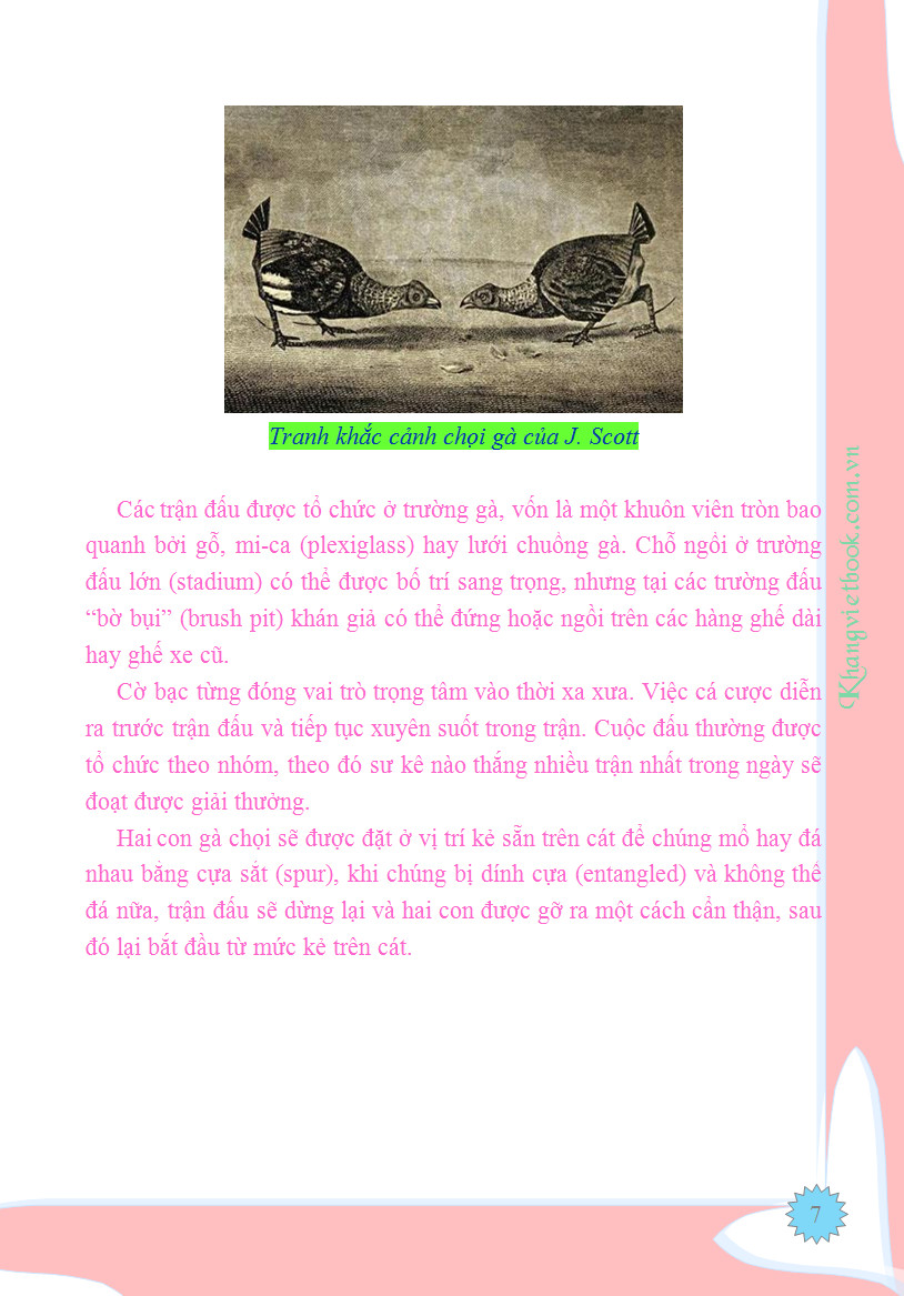 Trích đoạn 7