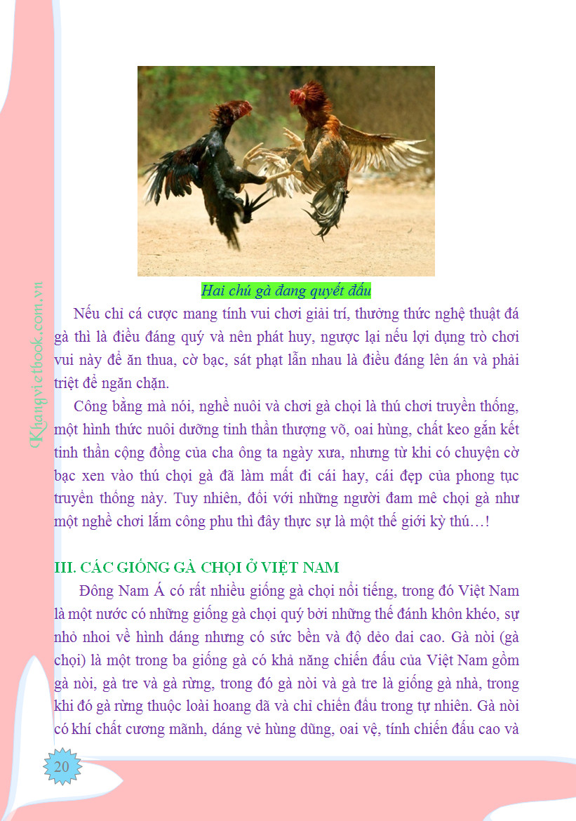 Trích đoạn 20