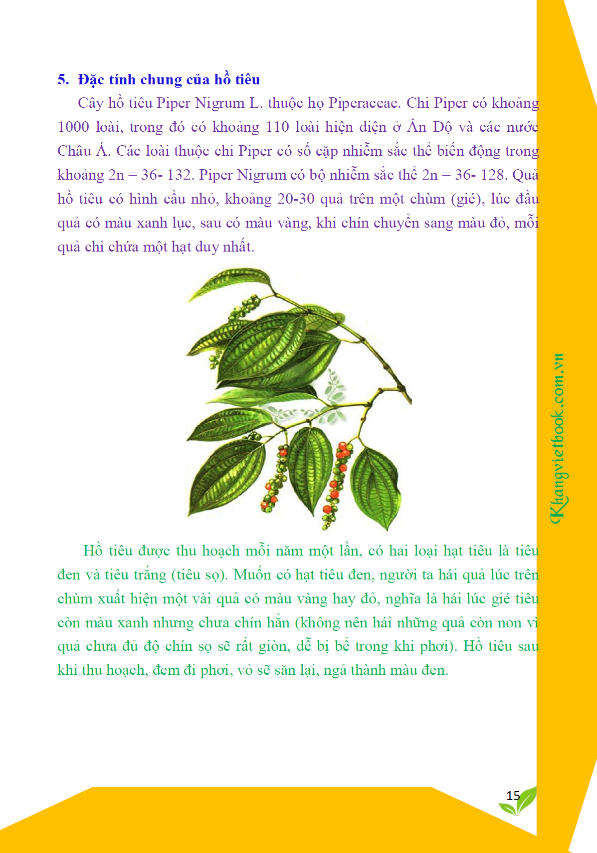 Trích đoạn 14