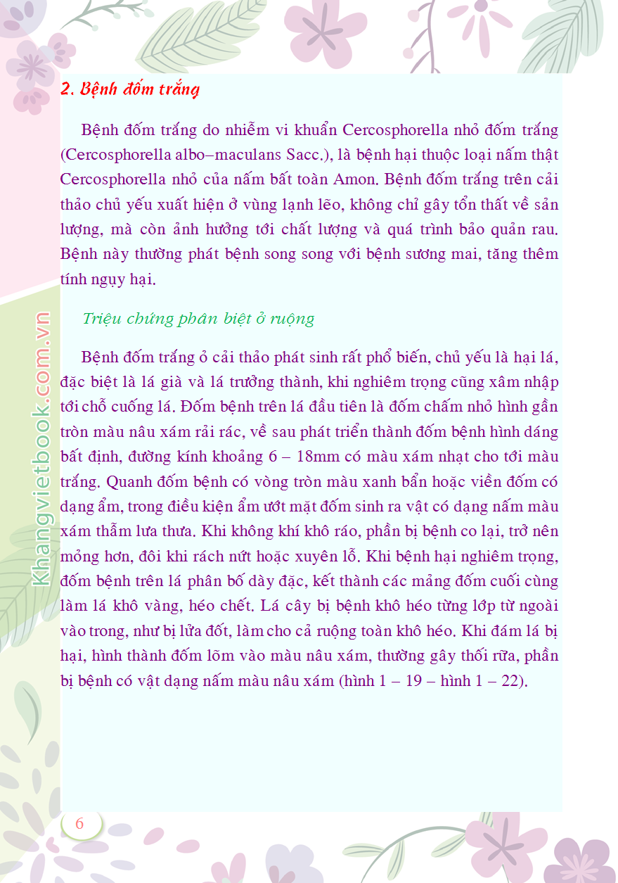 Trích đoạn 6