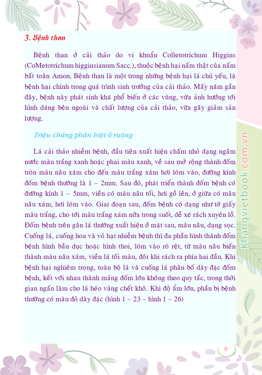 Trích đoạn 9